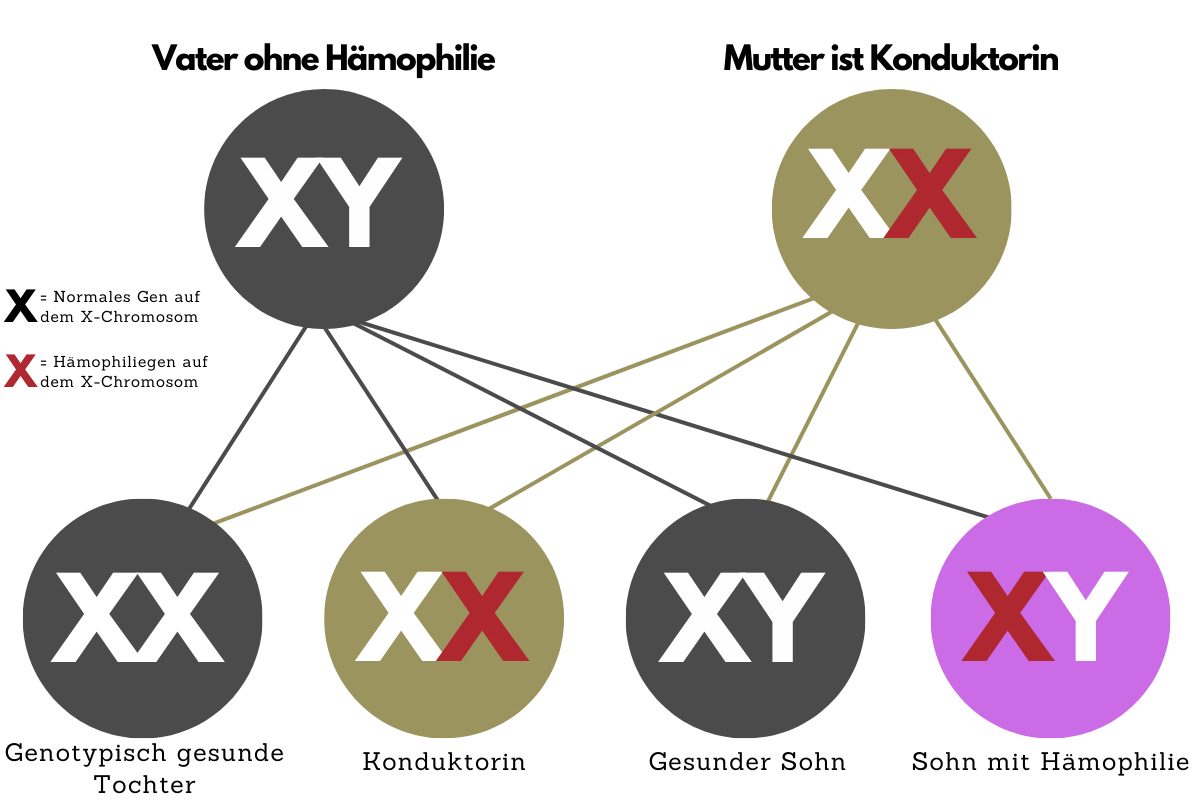 Vererbung Hämophilie